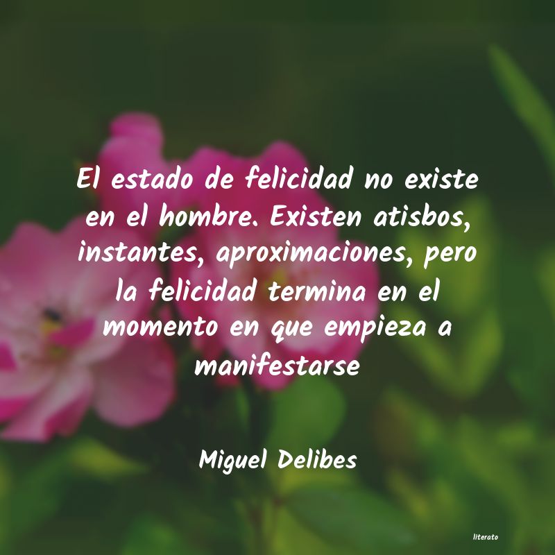 frases de Miguel Delibes