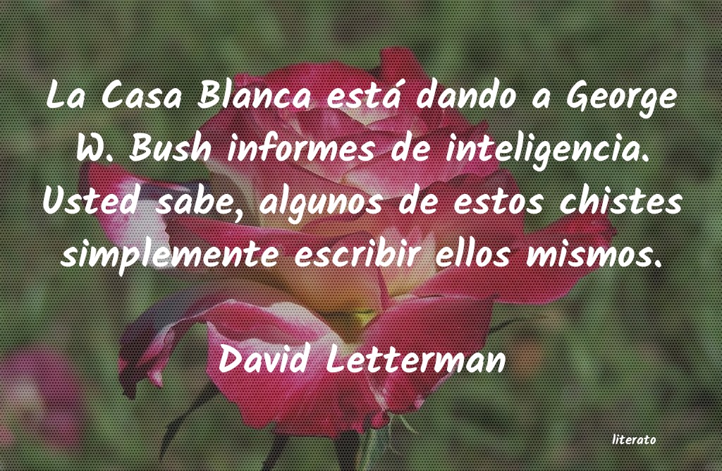 Frases de David Letterman