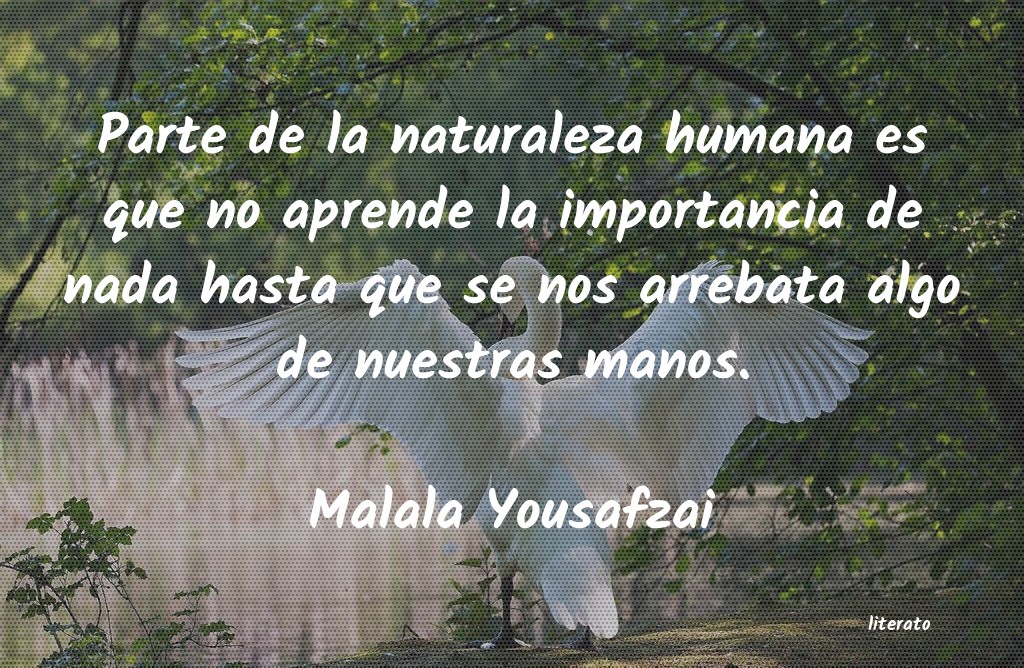 Frases de Malala Yousafzai