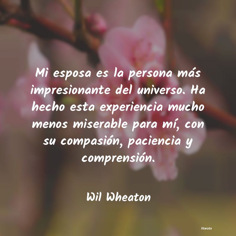 frases de Wil Wheaton