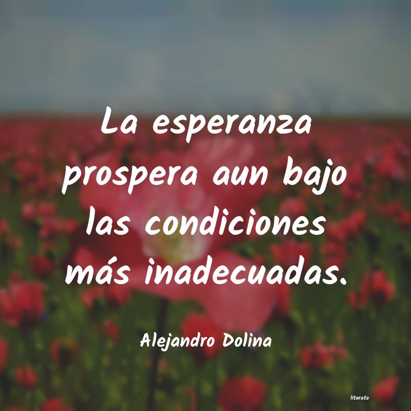 Frases de Alejandro Dolina