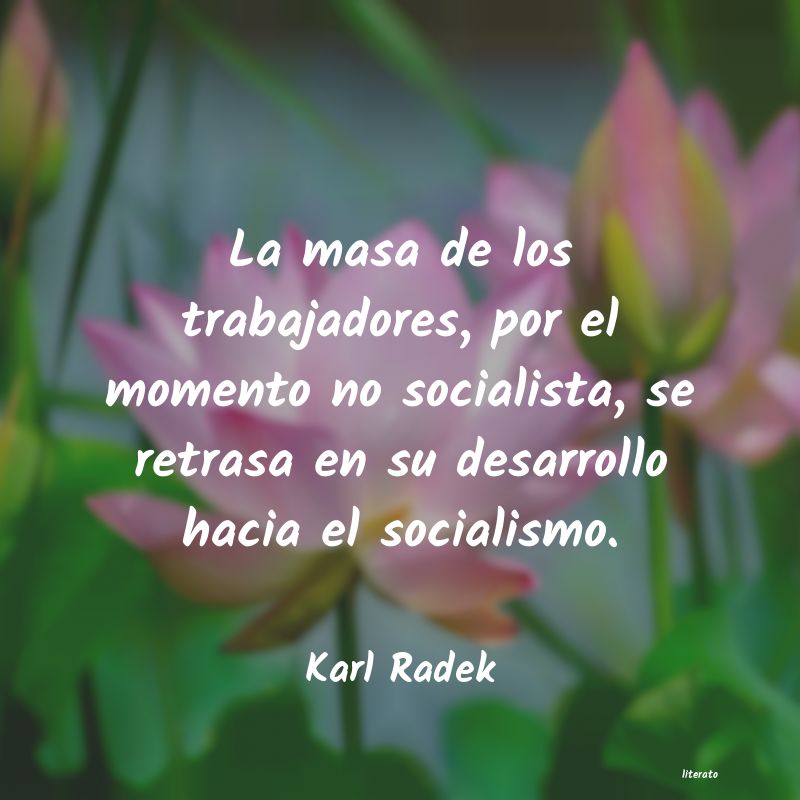 Frases de Karl Radek