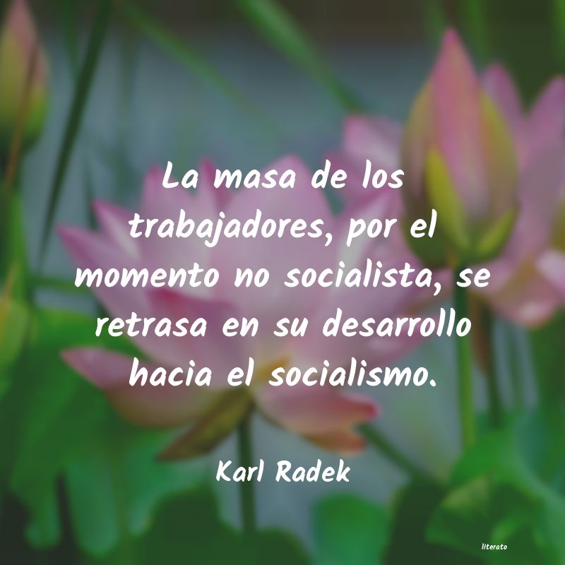 frases de Karl Radek
