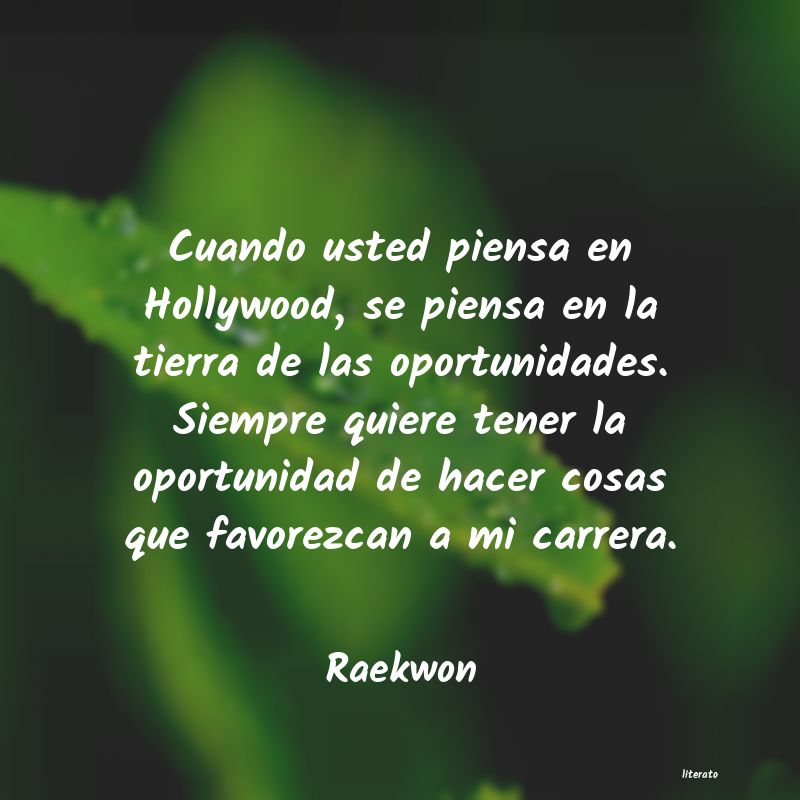 Frases de Raekwon