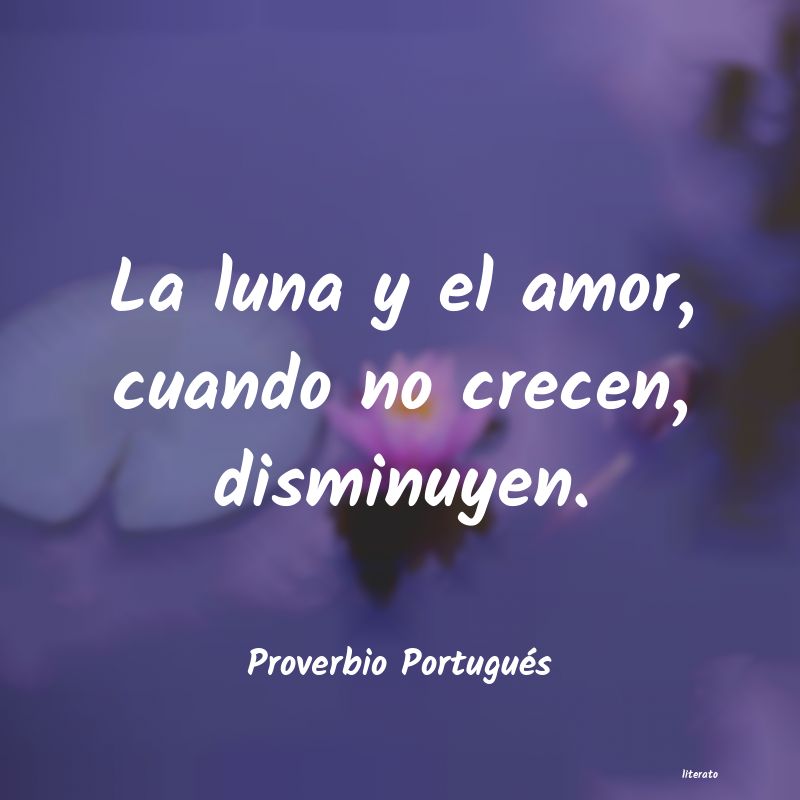 frases de Proverbio Portugués