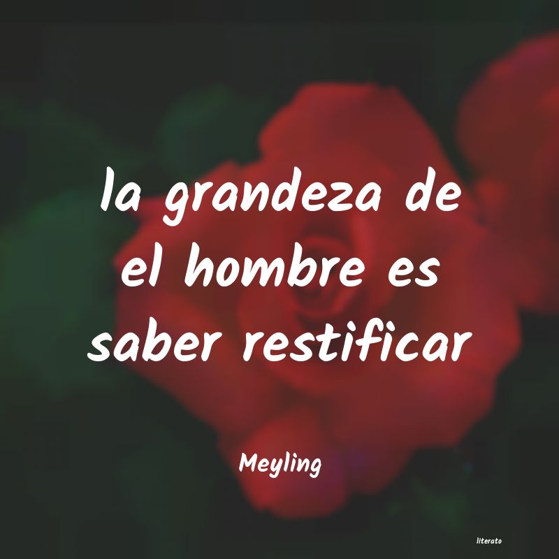 frases de Meyling