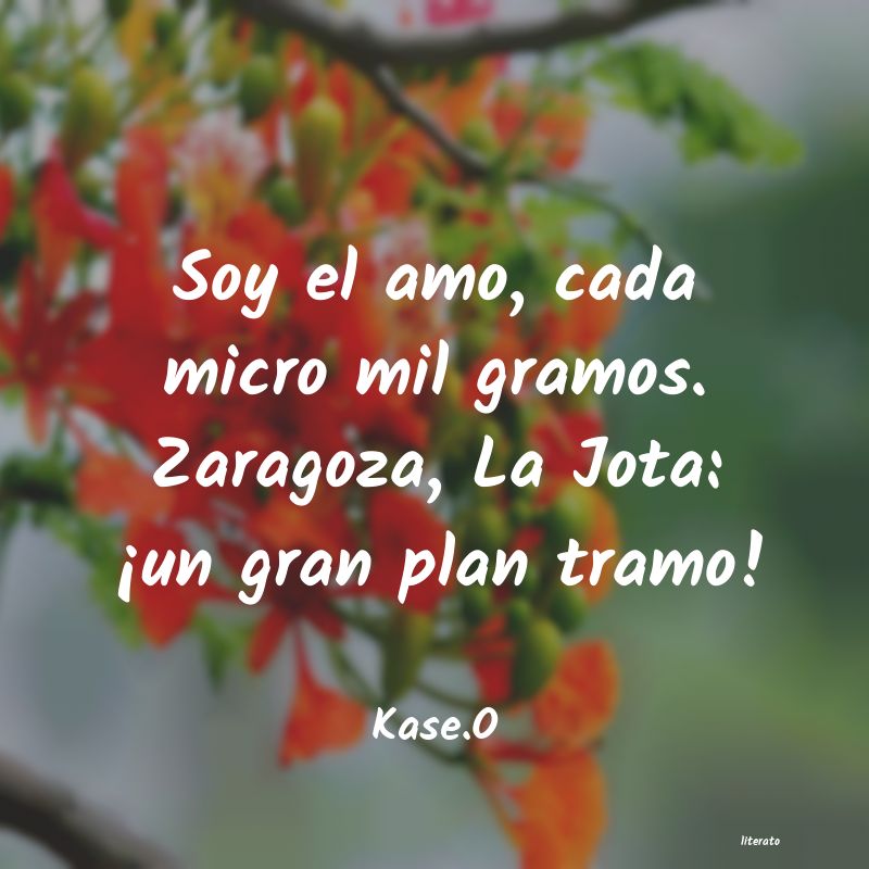 frases de Kase.O