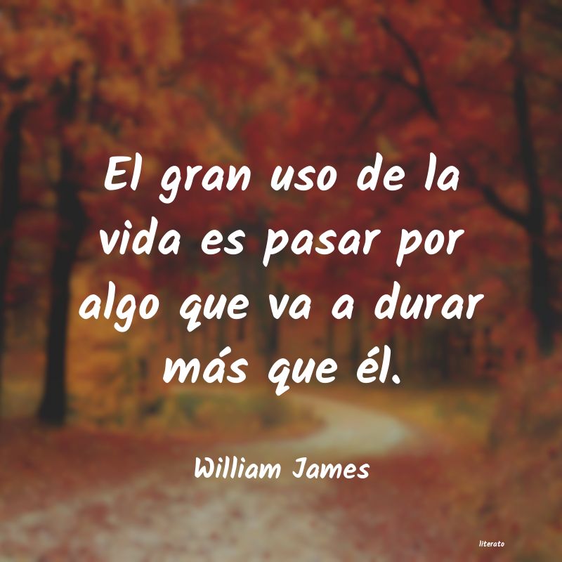 Frases de William James