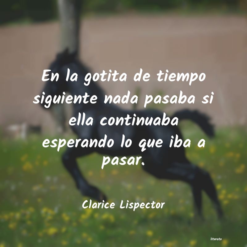 Frases de Clarice Lispector