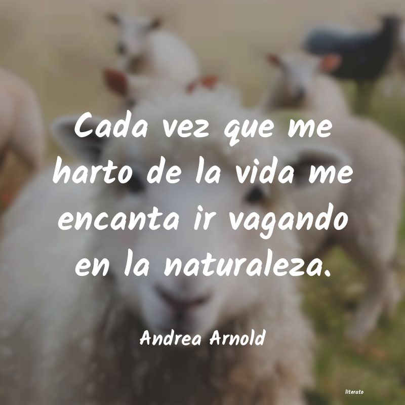 frases de Andrea Arnold