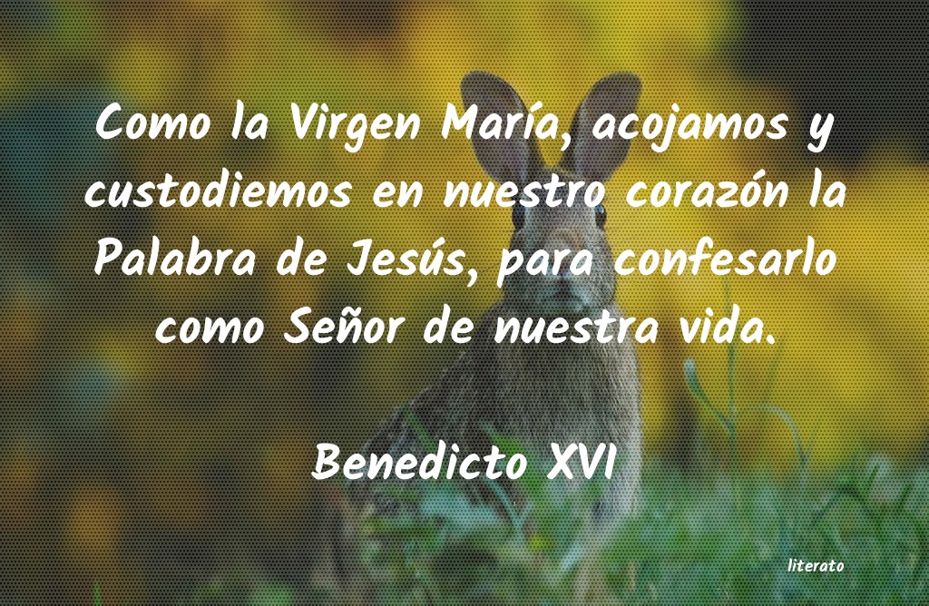 Frases de Benedicto XVI