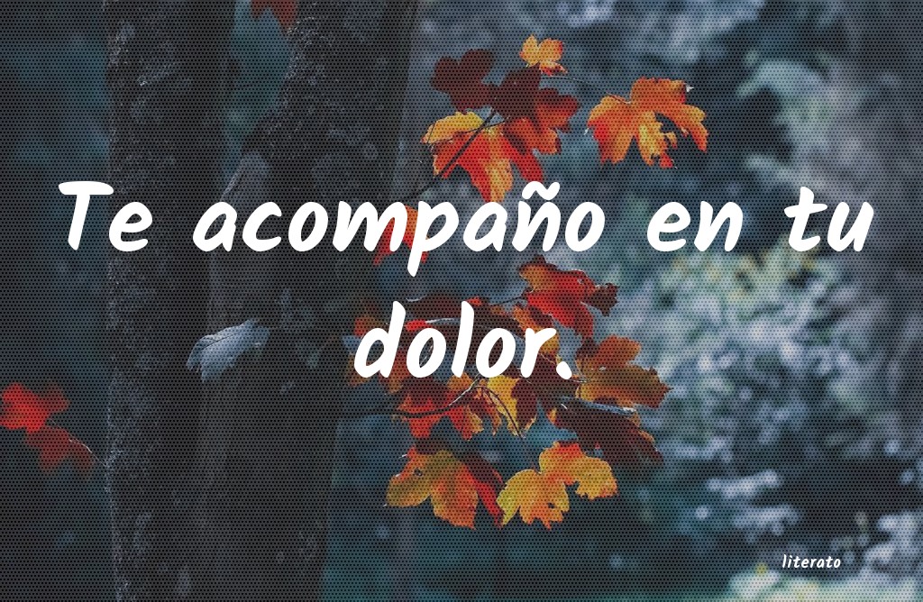 frases
