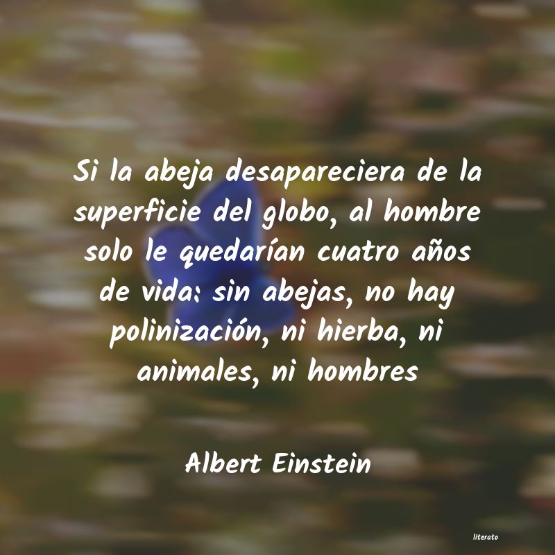 Frases de Albert Einstein