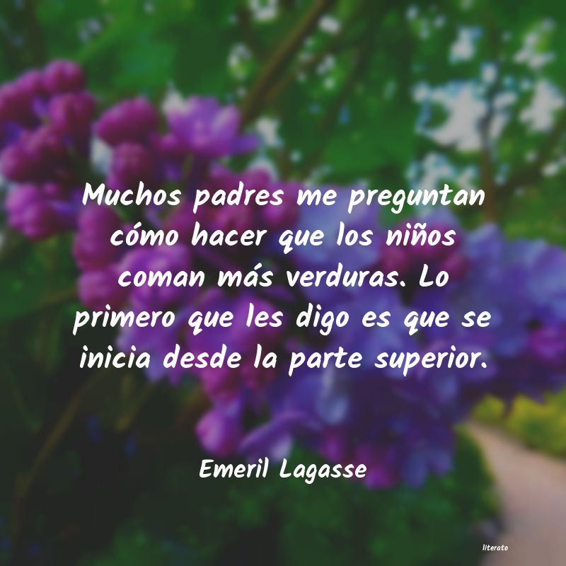 Frases de Emeril Lagasse