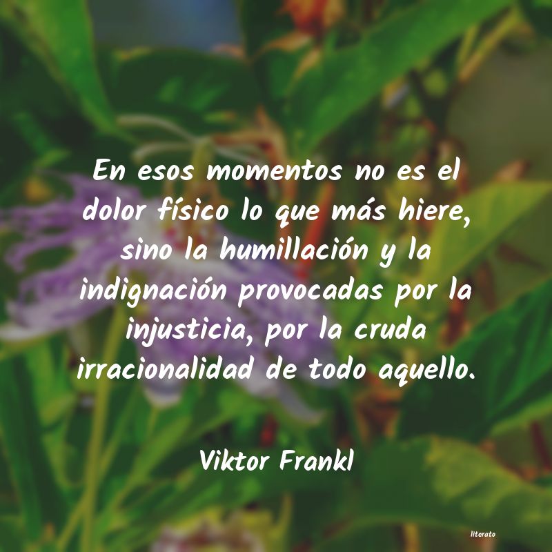 Frases de Viktor Frankl