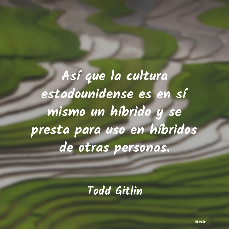 Frases de Todd Gitlin