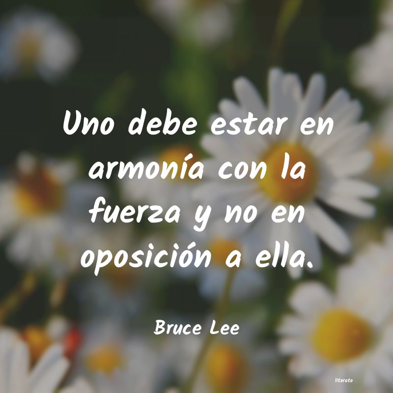 Frases de Bruce Lee