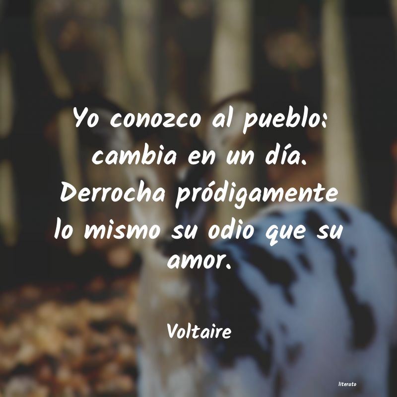 Frases de Voltaire