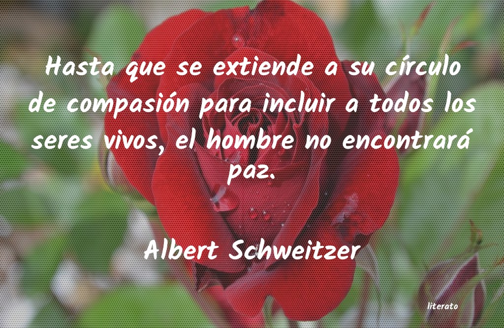 Frases de Albert Schweitzer