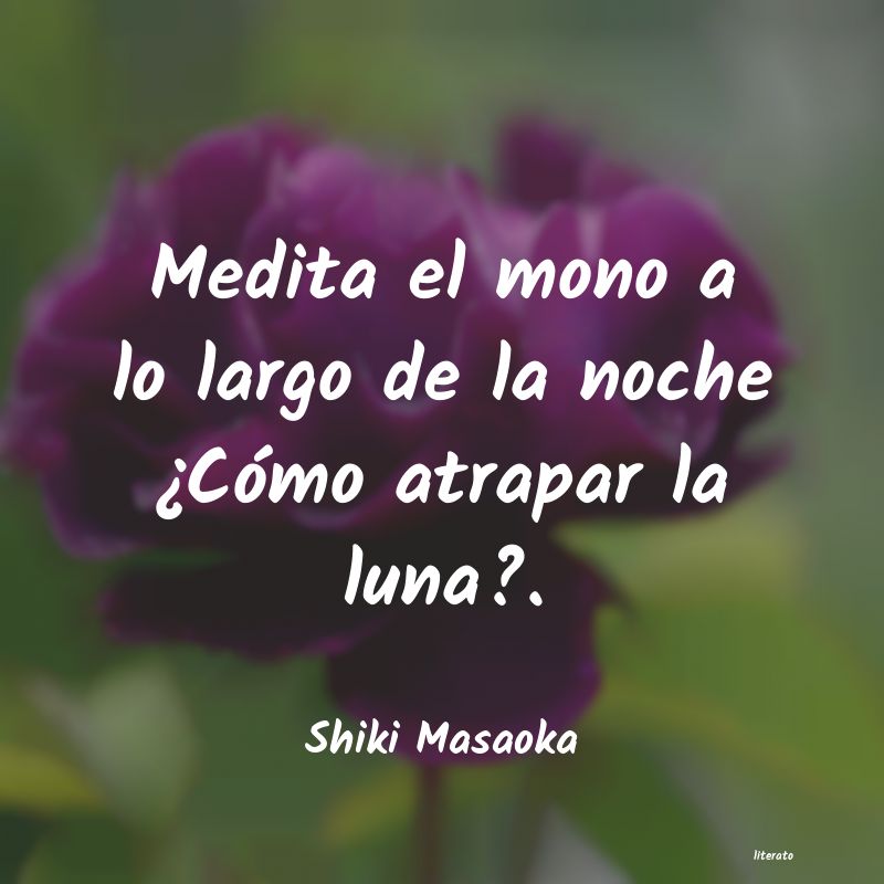 frases de Shiki Masaoka