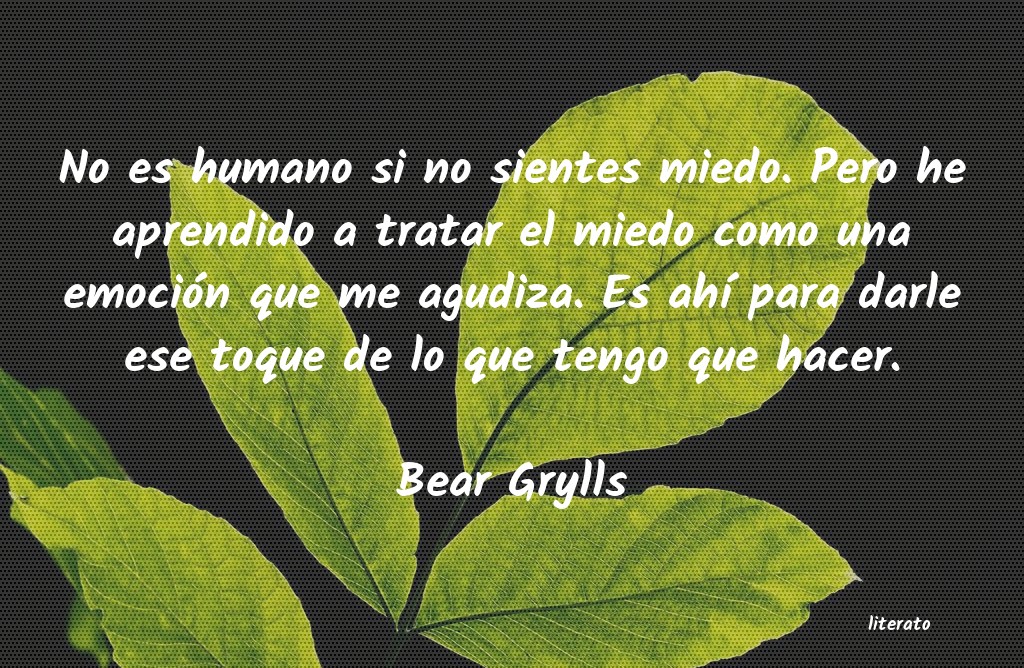 Frases de Bear Grylls