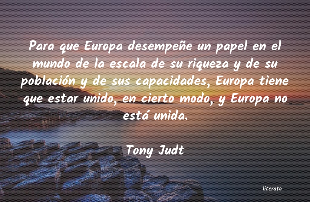 frases de Tony Judt