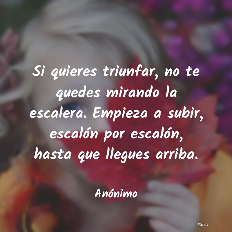 Frases de