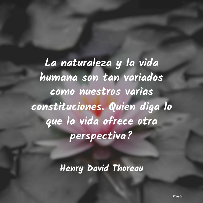 Frases de Henry David Thoreau