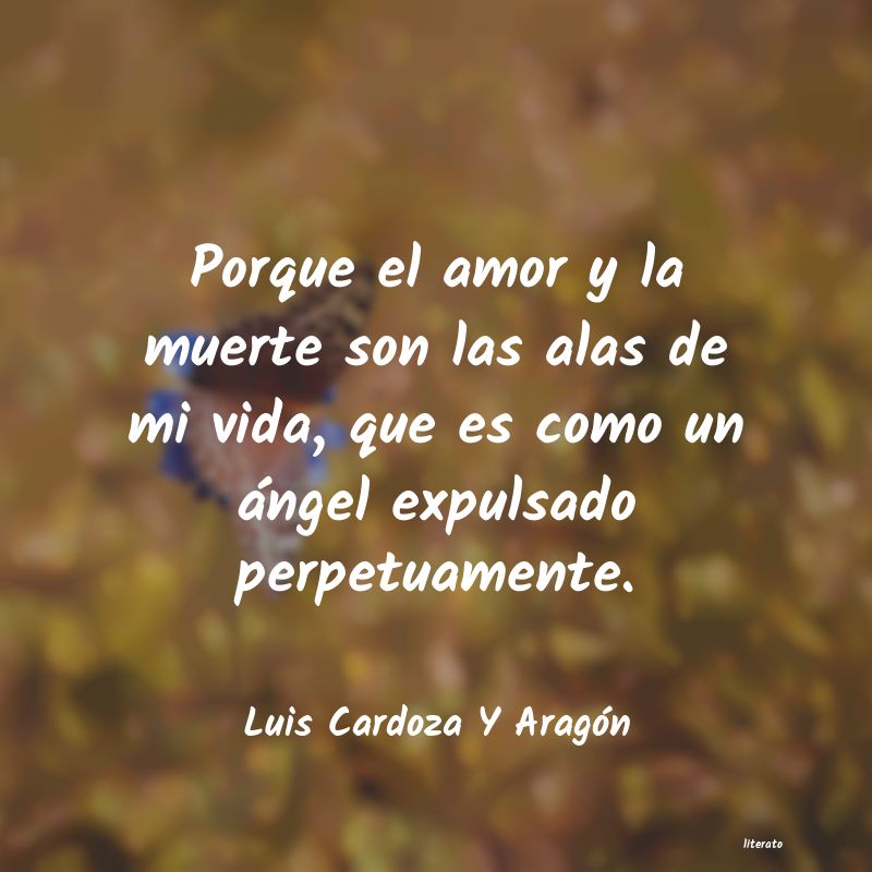 Frases de Luis Cardoza Y Aragón