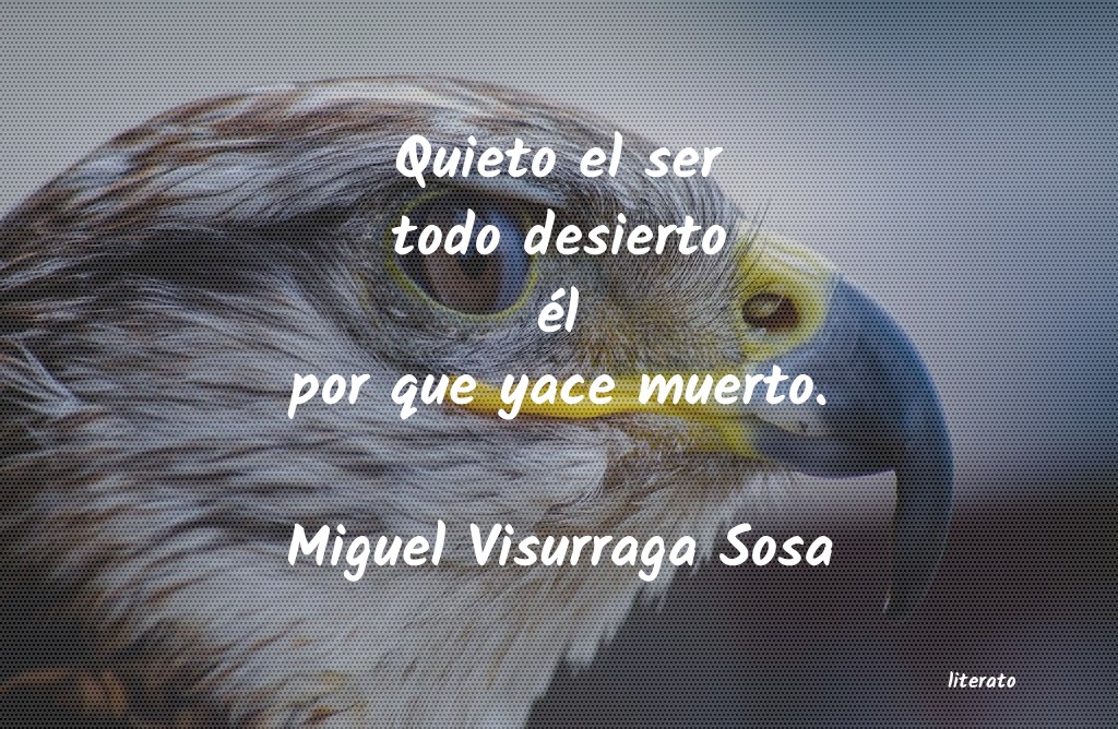 frases de Miguel Visurraga Sosa