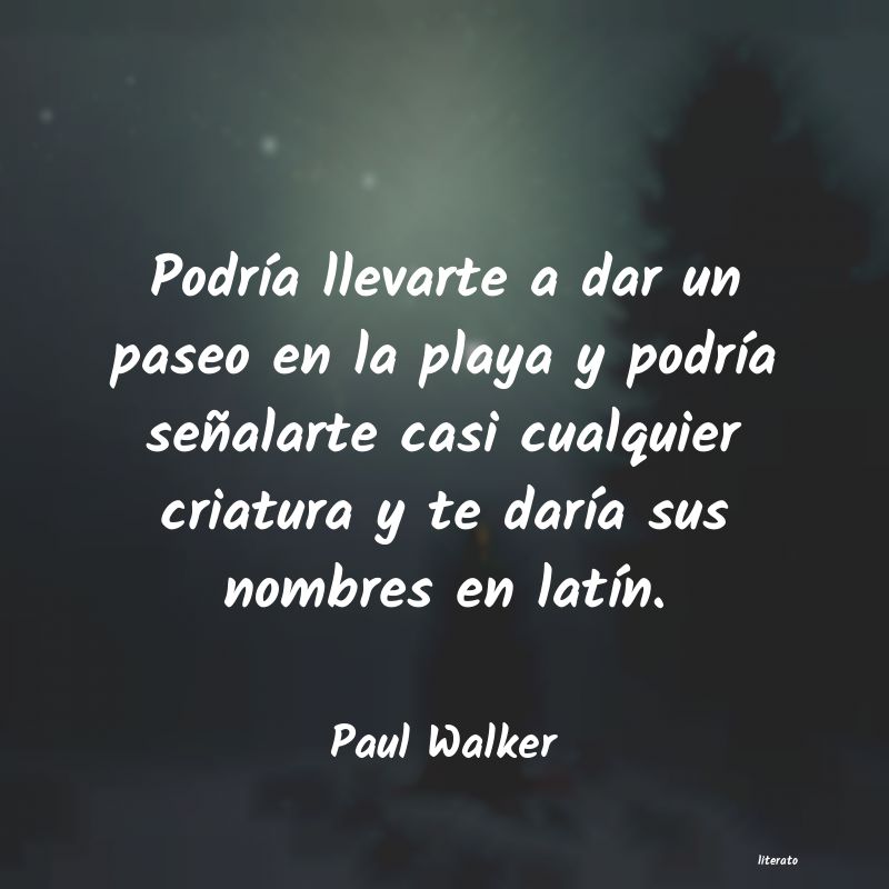 frases de Paul Walker