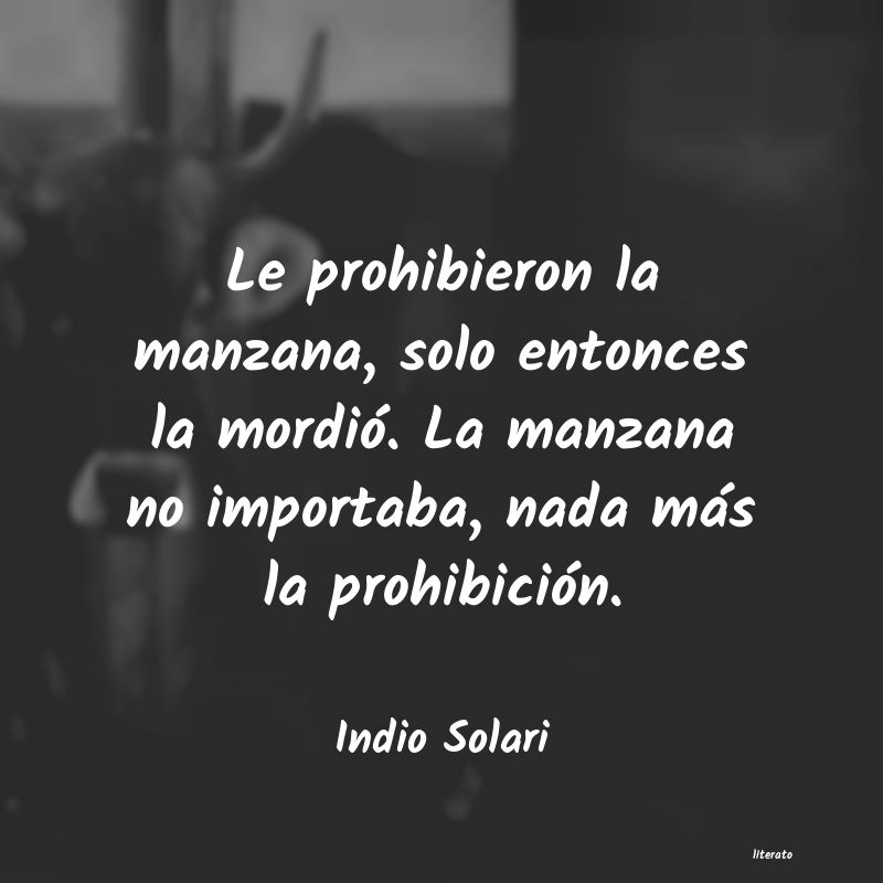 Frases de Indio Solari