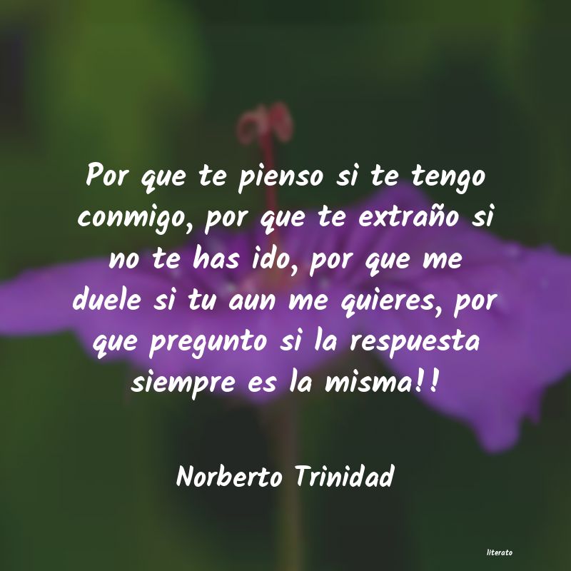 Frases de Norberto Trinidad