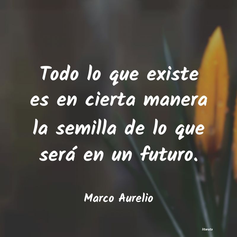 frases de Marco Aurelio