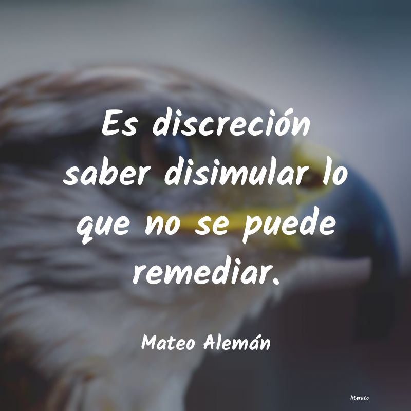 Frases de Mateo Alemán