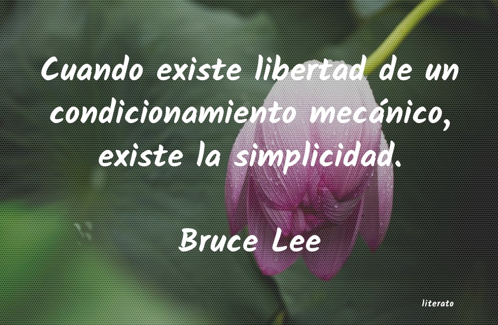 frases de Bruce Lee