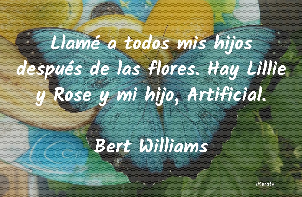 frases de Bert Williams
