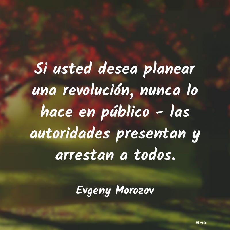 Frases de Evgeny Morozov