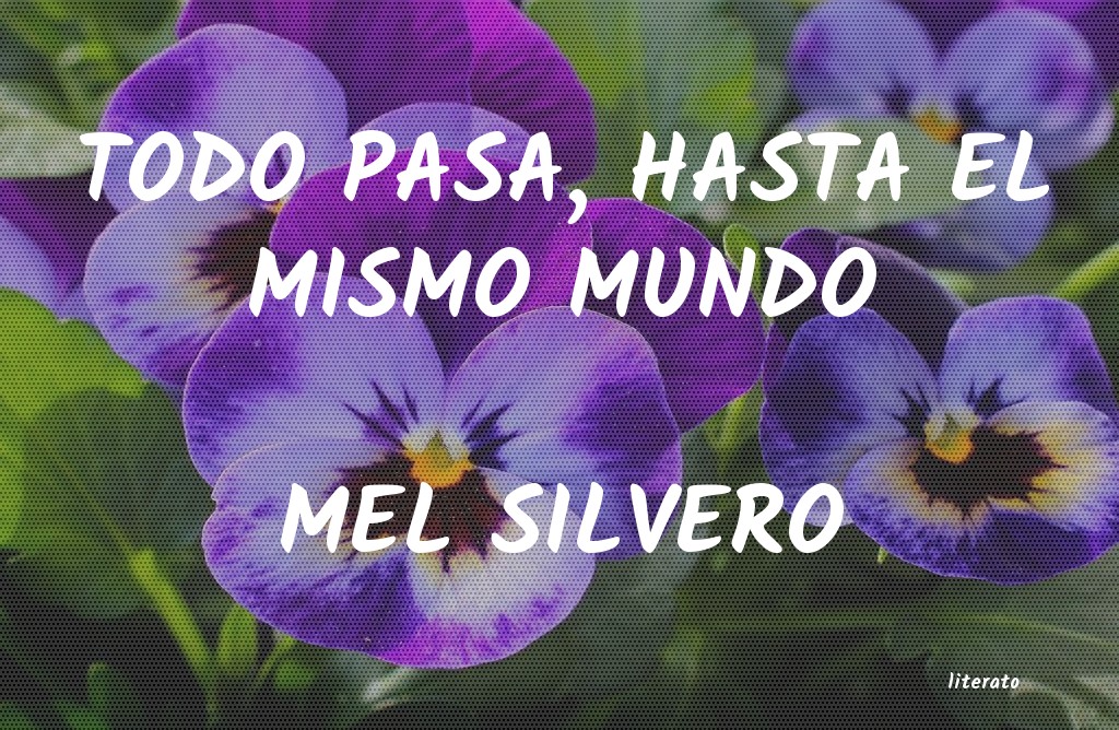 Frases de MEL SILVERO