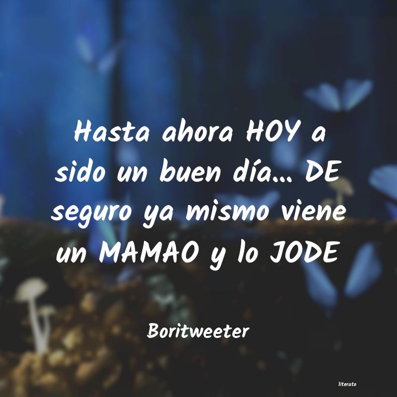 Frases de Boritweeter