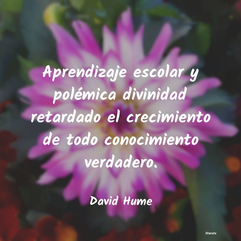 Frases de David Hume