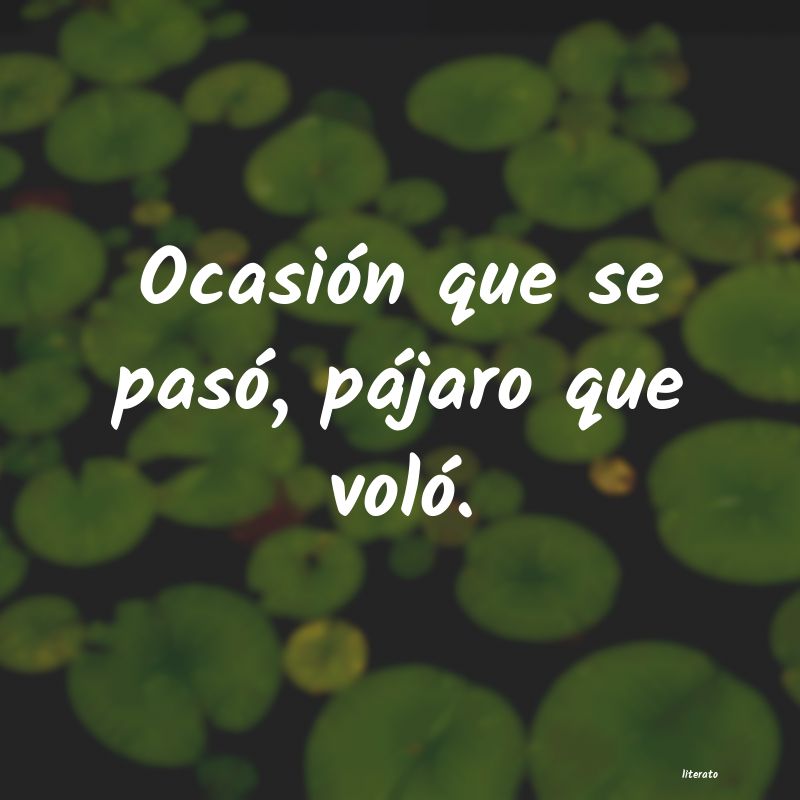 frases