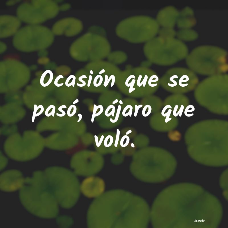 Frases de 