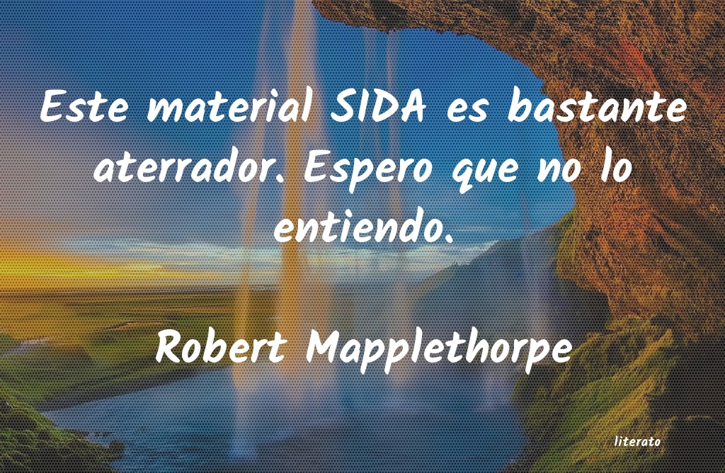 Frases de Robert Mapplethorpe