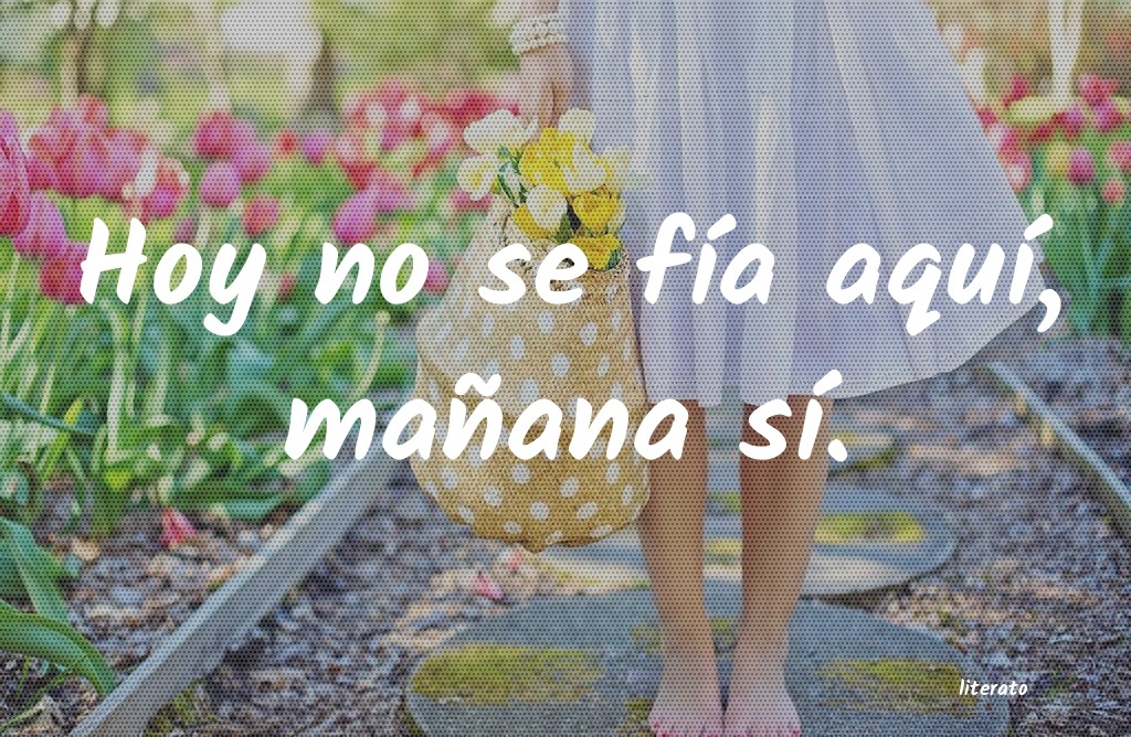 frases