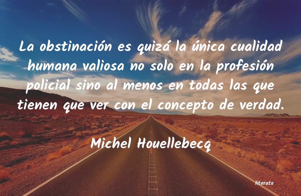 frases de Michel Houellebecq