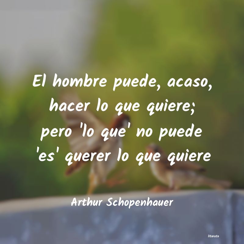 Frases de Arthur Schopenhauer