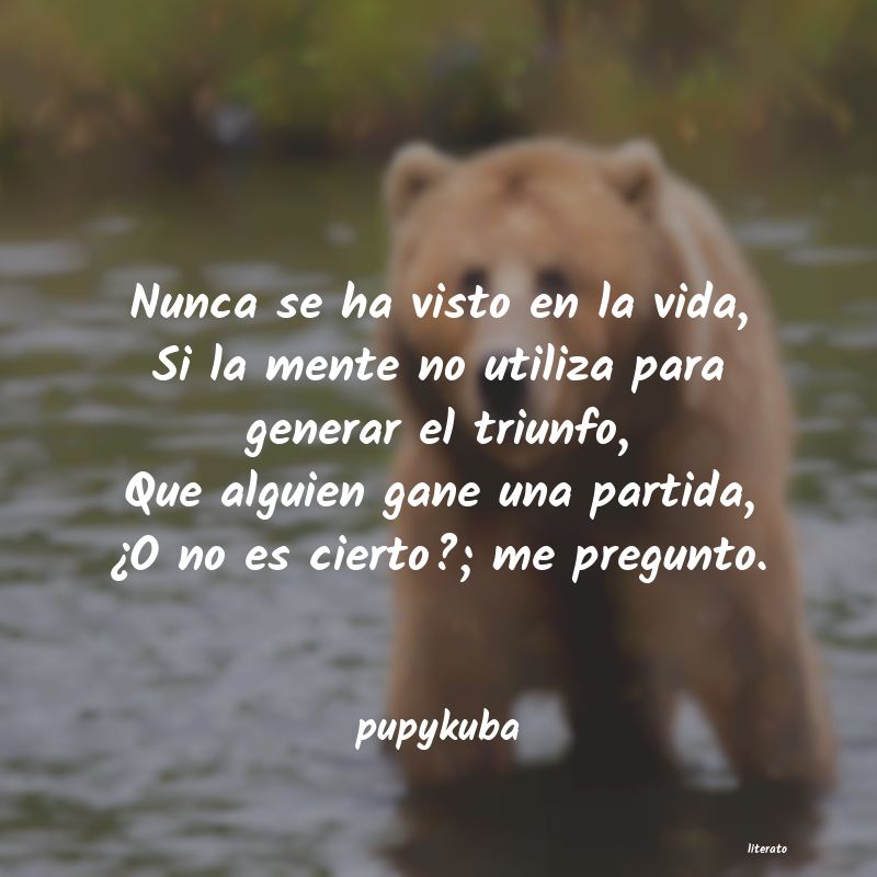 Frases de pupykuba