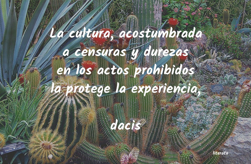 Frases de dacis