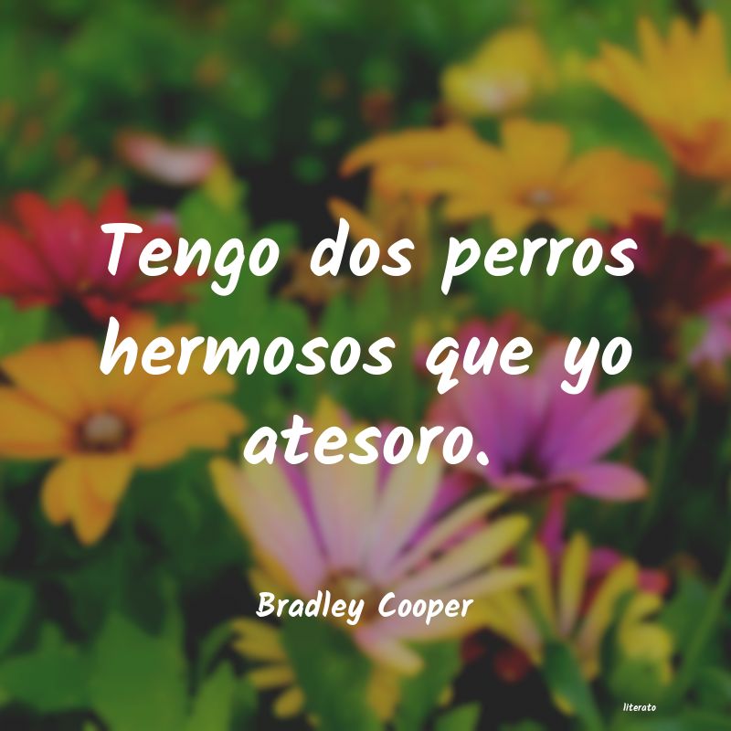 frases de Bradley Cooper